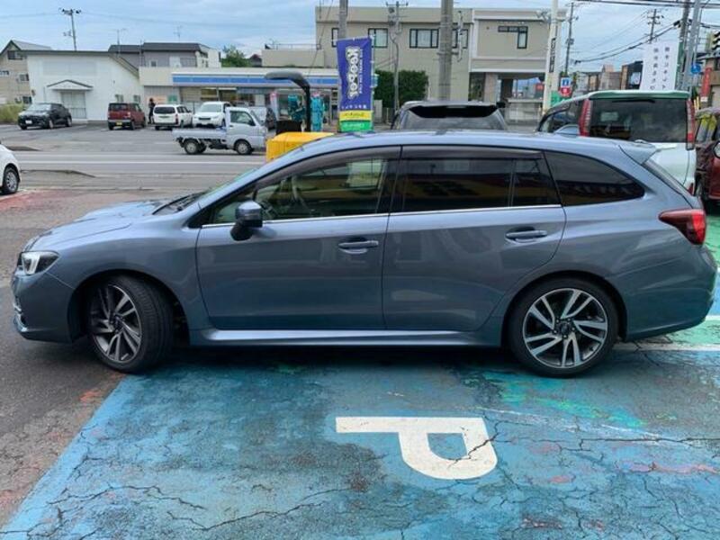 LEVORG