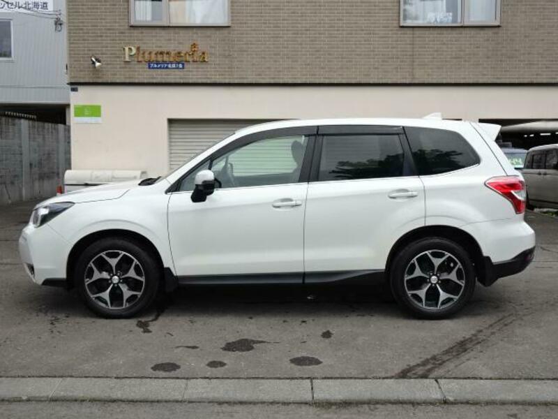 FORESTER