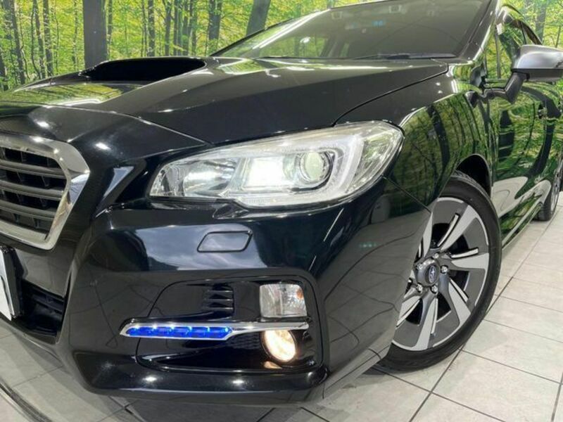 LEVORG