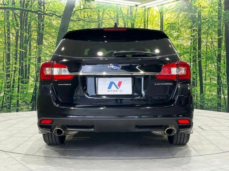 LEVORG