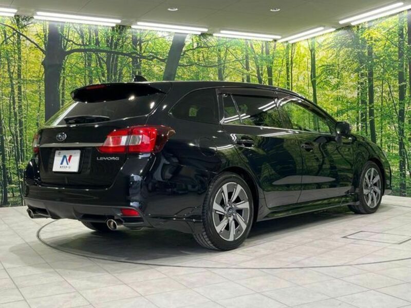 LEVORG