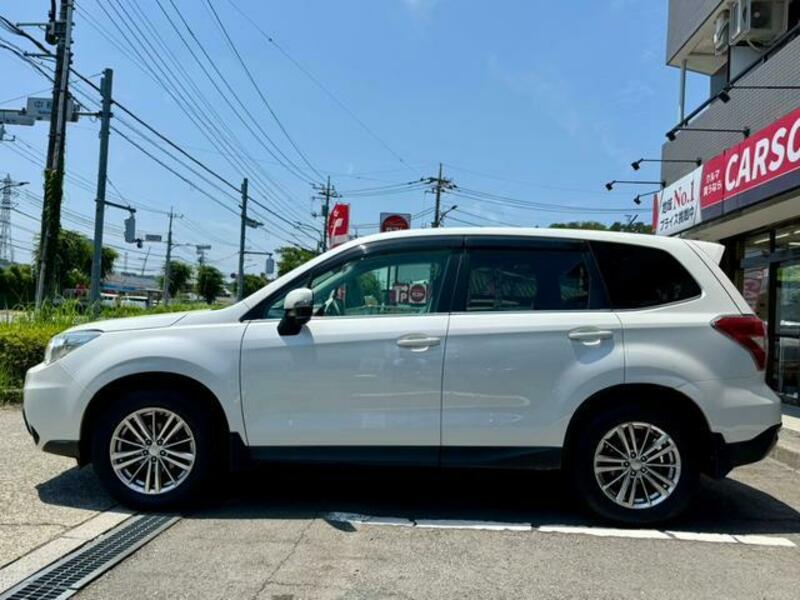 FORESTER