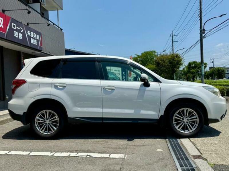 FORESTER