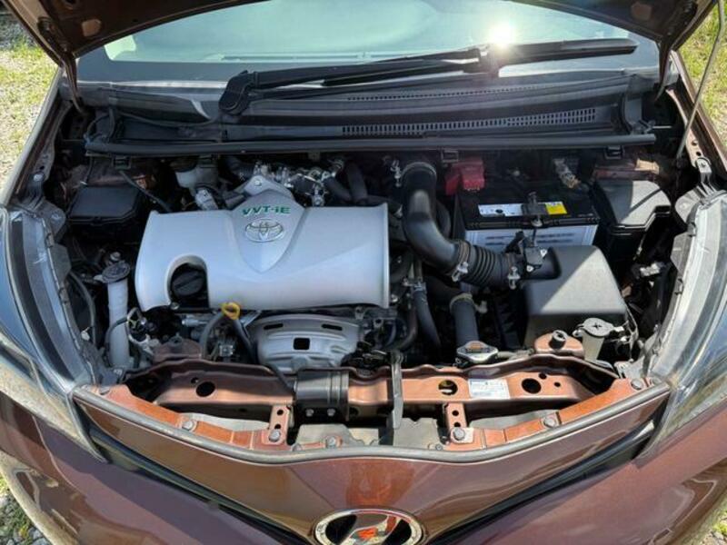 VITZ