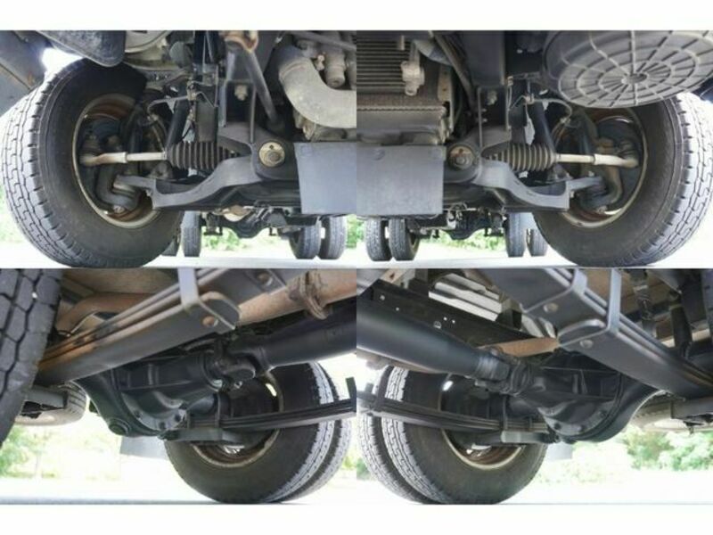 CANTER GUTS