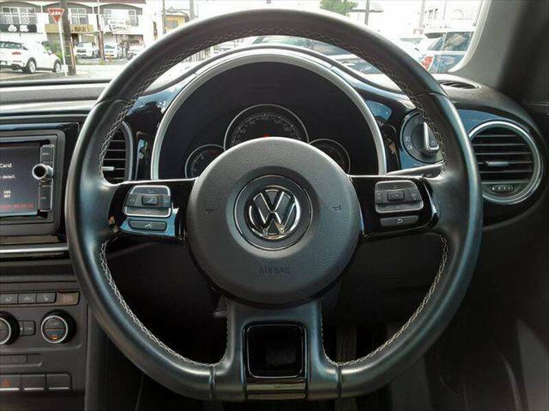 THE BEETLE