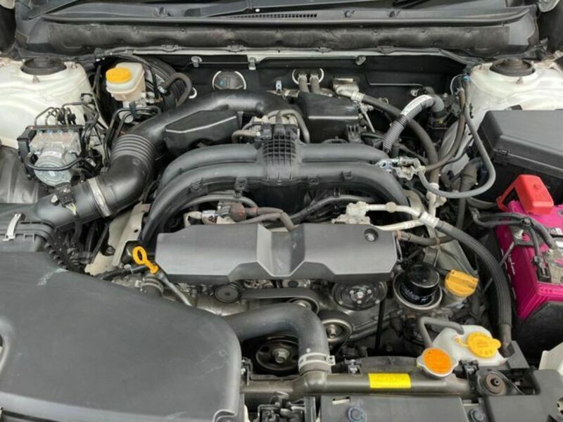 LEGACY OUTBACK