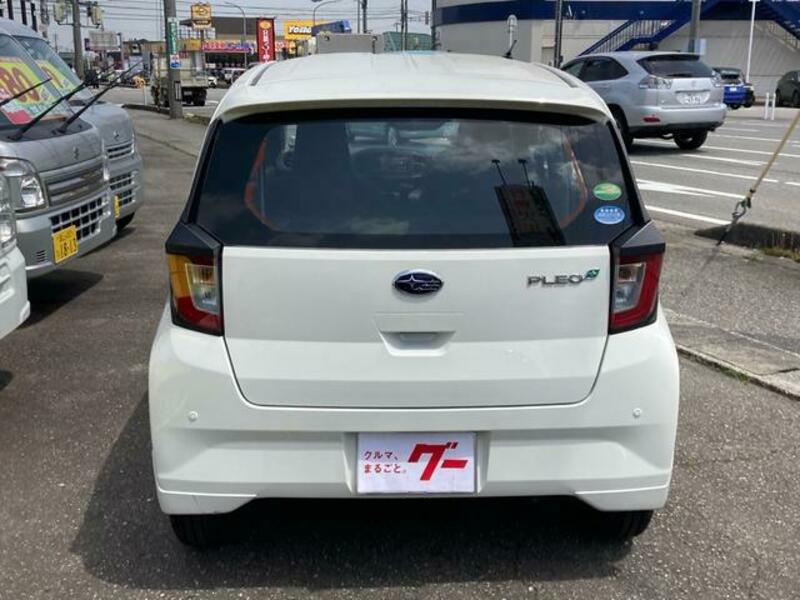 PLEO PLUS
