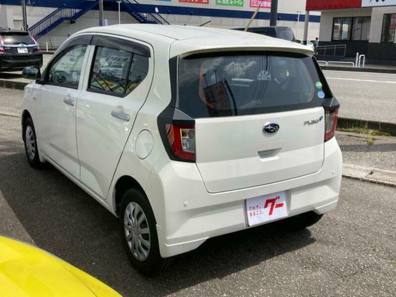 PLEO PLUS