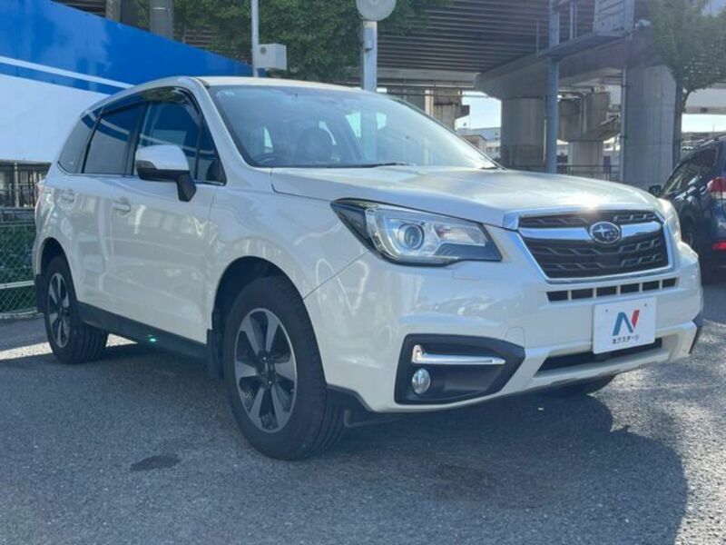 FORESTER