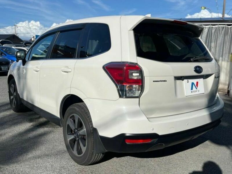 FORESTER