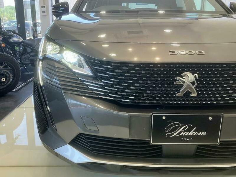 3008