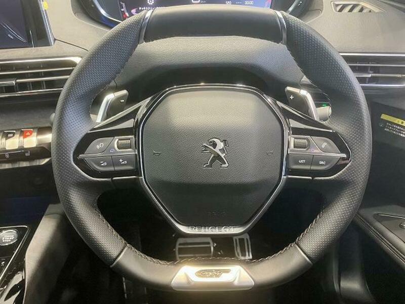 3008