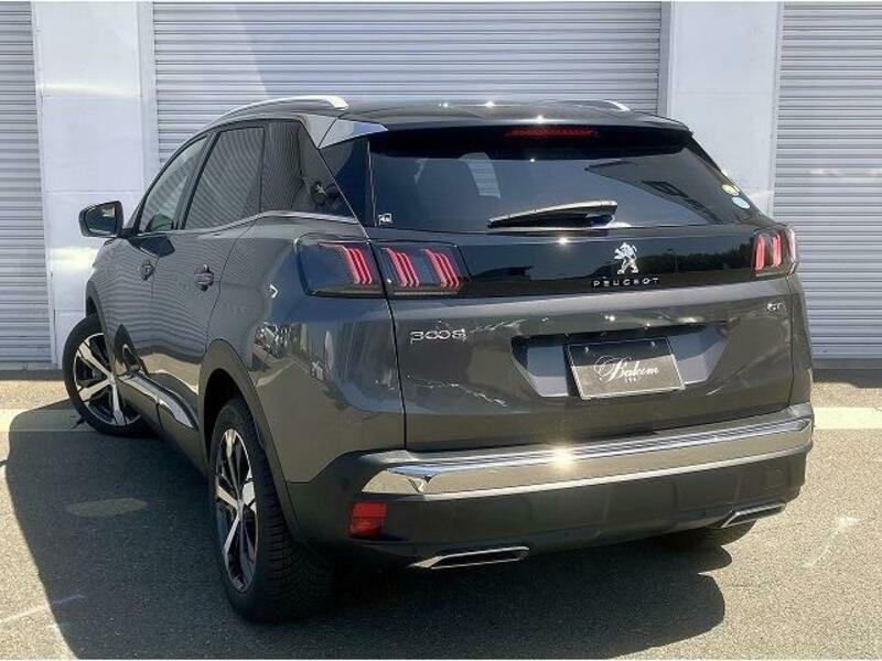 3008
