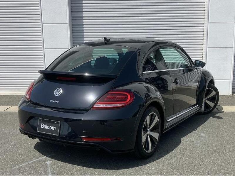 THE BEETLE