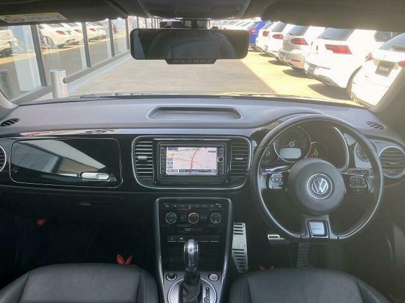 THE BEETLE