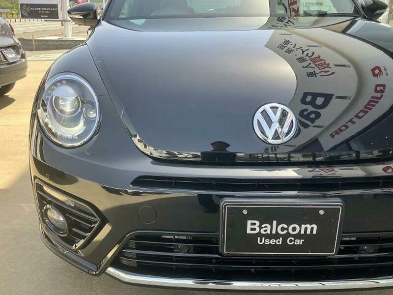 THE BEETLE