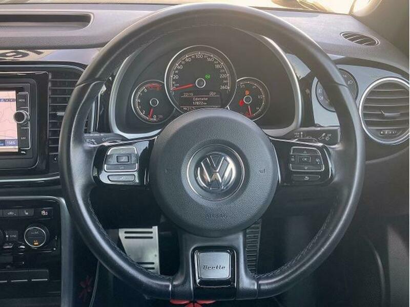 THE BEETLE