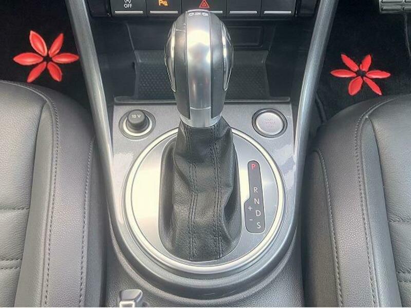 THE BEETLE