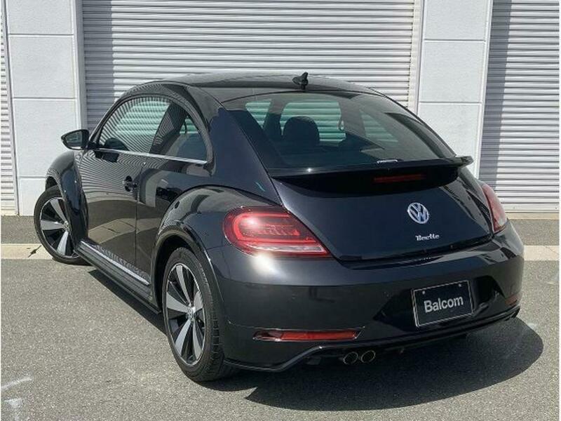 THE BEETLE