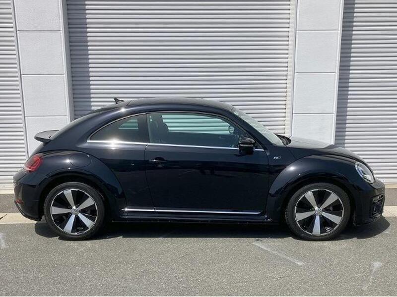 THE BEETLE