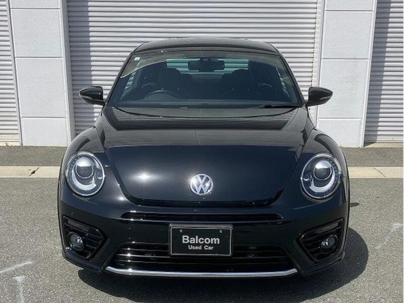 THE BEETLE