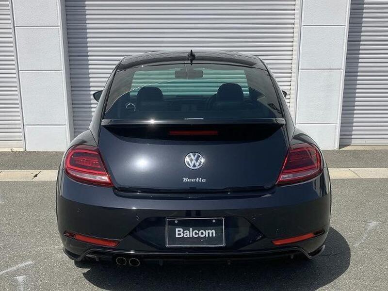 THE BEETLE