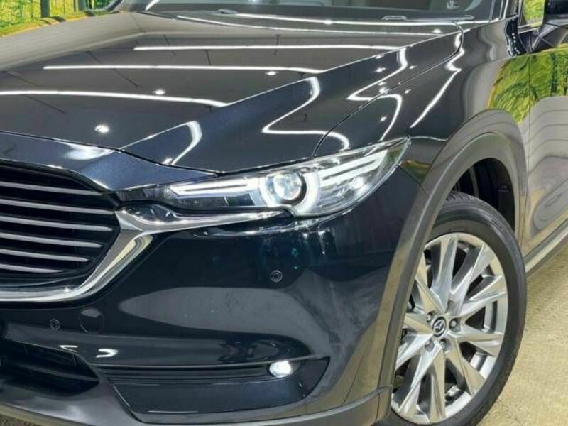CX-8