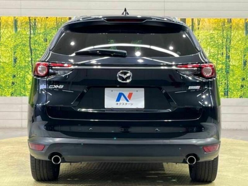 CX-8