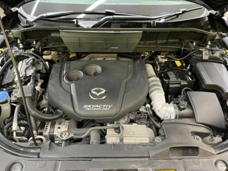 CX-8
