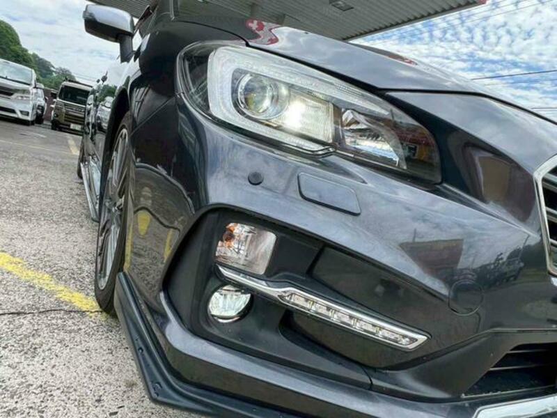 LEVORG