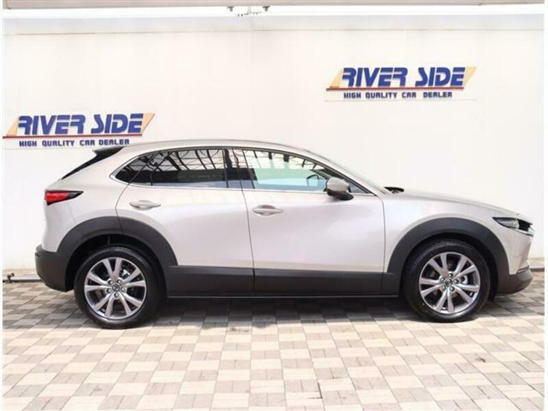 CX-30