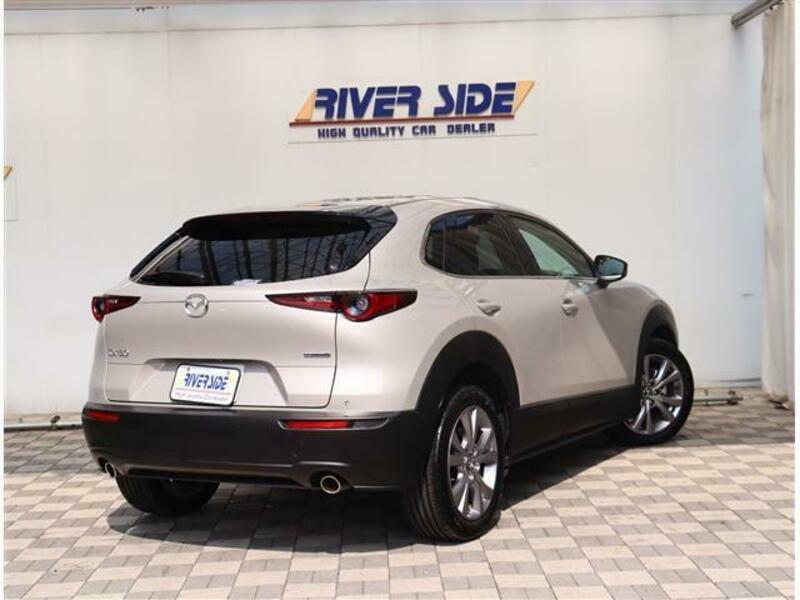 CX-30