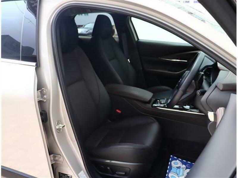 CX-30