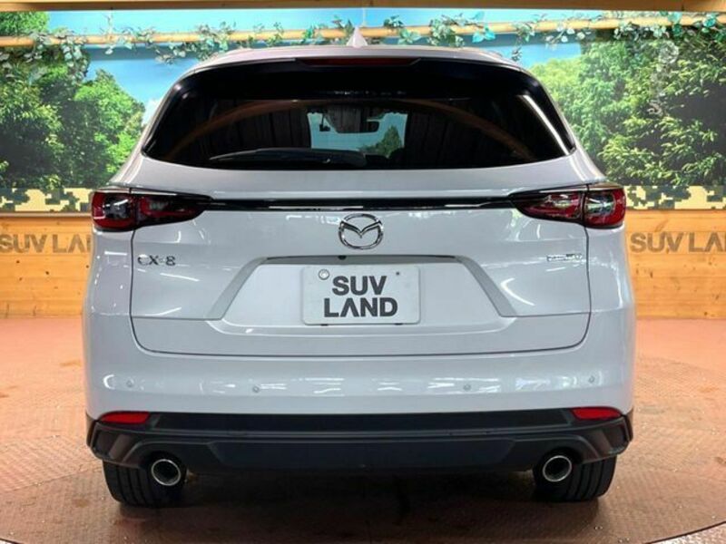 CX-8