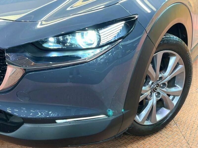 CX-30