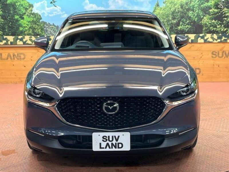 CX-30