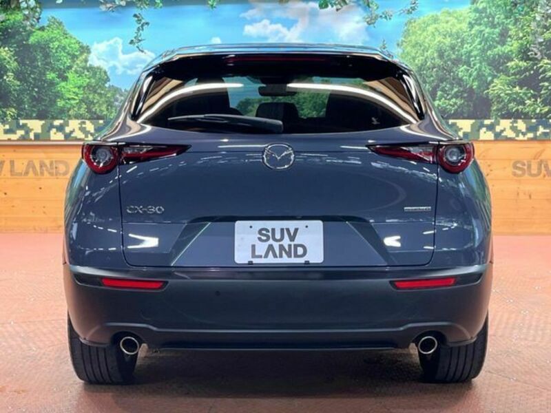 CX-30