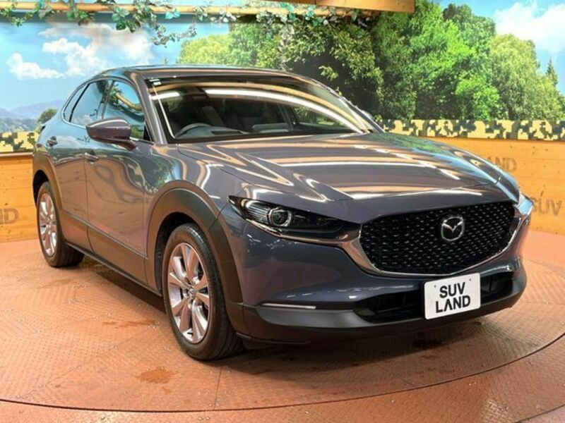 CX-30