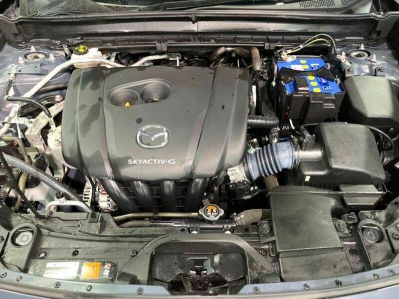CX-30