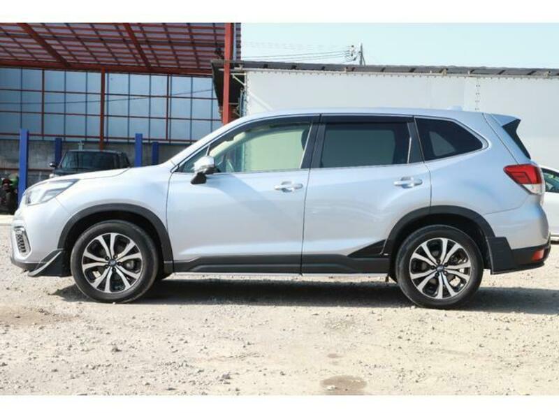 FORESTER