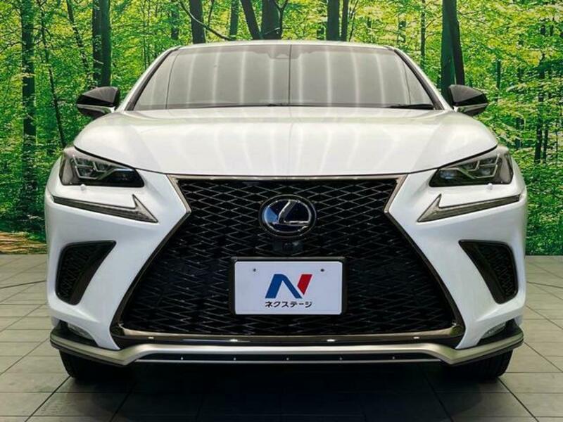 NX