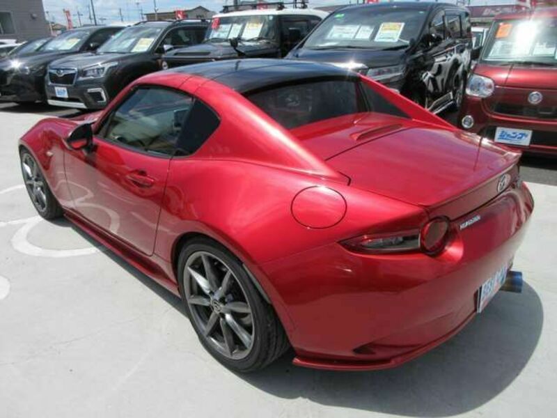 ROADSTER RF
