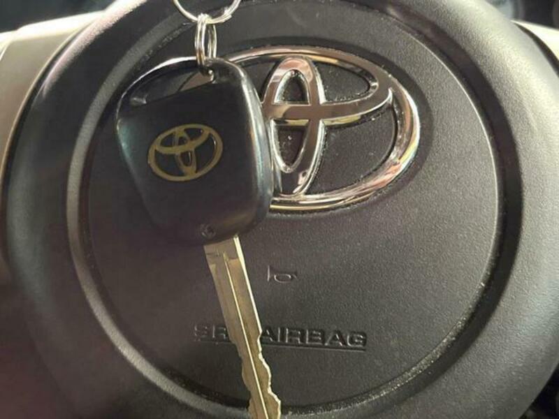 FJ CRUISER