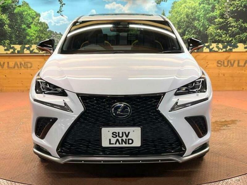 NX