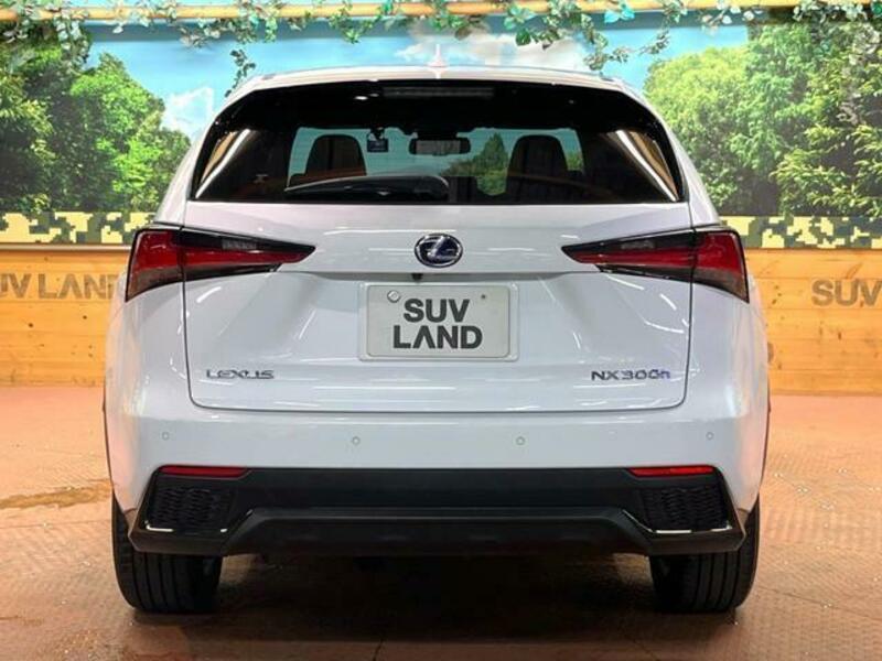 NX