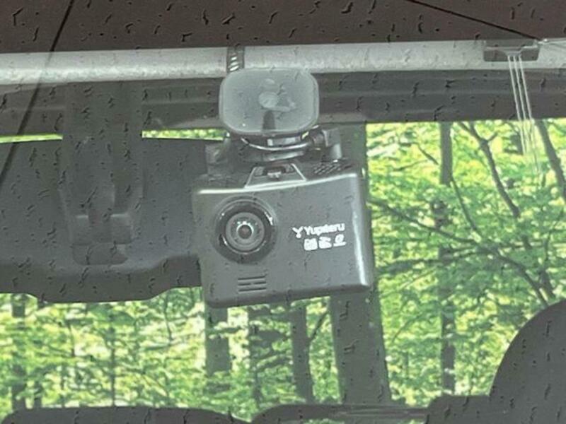 DAYZ ROOX
