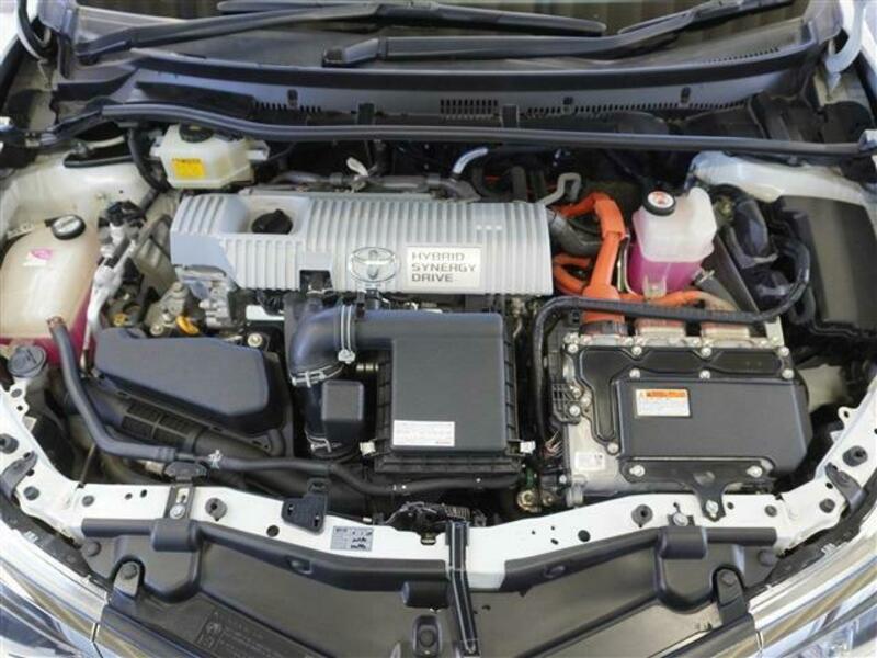 AURIS