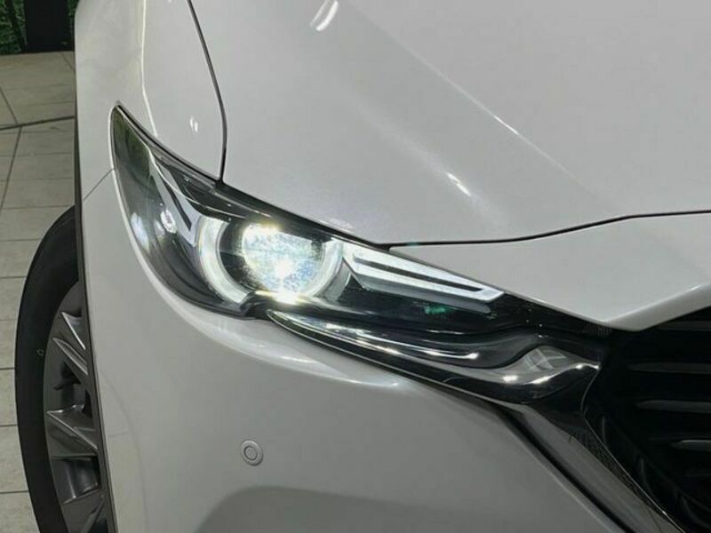 CX-8