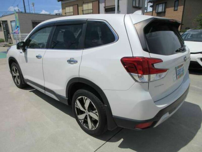 FORESTER